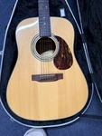 Zager ZAD-20E Easy Play 6 String Acoustic Electric Guitar With Hard Case Rh. Fixed Price $628.88.