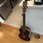 Art & Lutherie Folk Cedar Acoustic Guitar 6 String Brown Right-handed. Fixed Price $325.00.