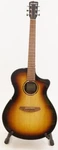 Breedlove Discovery Concerto Edgeburst Europe-african Mahogany Acoustic Guitar. Fixed Price $344.99.