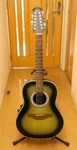 Shipping Included Junk Treatment Ovation 12 String CC-65 CC65 Celebrity Deepbowl. Fixed Price $634.49.