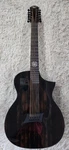Michael Kelly Forte Port Randy Jackson 12-STRING Acoustic Electric Guitar. Fixed Price $599.99.