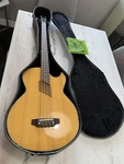 Washburn Acoustic Electric Bass Guitar AB10 Excellent Condition W/ Hardcase. Fixed Price $499.99.