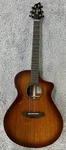 Breedlove Organic Wildwood Pro Concert Acoustic-electric Guitar Tiger's Eye. Fixed Price $649.00.
