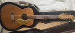 Vintage Fender Usa 1969 Villager 12-STRING Acoustic Guitar, Takamine Hard Case. Fixed Price $874.95.