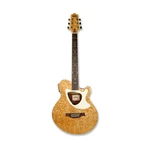 Gosila 39 Acoustic Electric Cutaway Guitar, Thin Body, Built-in Tuner,ash. Fixed Price $256.17.
