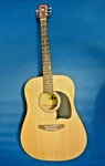 Lyon By Washburn LG2PAK Acoustic Guitar With Bag. Fixed Price $100.00.
