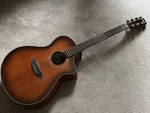 Breedlove Performer Concerto Satin Bourbon Acoustic Electric Guitar Blem. Fixed Price $219.99.