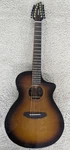 Breedlove Organic Solo Pro Concert Edgeburst 12 String Acoustic Electric. Fixed Price $795.00.