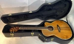 Takamine GN77KCE - Natural W/ Hard Case. Fixed Price $899.99.