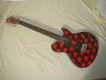 Washburn WI14 Idol Electric Guitar In Black With Red Skulls - Excellent!. Fixed Price $199.00.