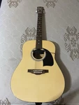 Lyon By George Washburn Acoustic Guitar Model LG1PAK. Fixed Price $300.00.