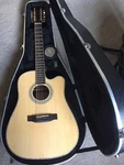 Zager ZAD900CE12 Aura Acoustic Electric String Guitar Used. Fixed Price $1625.00.