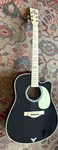 Esteban Vintage Legacy VL-100 Cutaway Acoustic/electric Black 2010 Good Player !. Fixed Price $195.00.