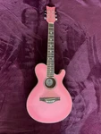 Pink Daisy Rock Wildwood Model 6260 Cutaway Acoustic Guitar - Preowned. Fixed Price $125.00.