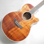 Takamine PTU131KC Electric Acoustic Guitar 100 Series With Gig Bag. Fixed Price $1123.03.