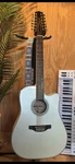 Takamine GD-37CE 12-STRING Acoustic-electric Guitar White (TAKGD37CE12PW). Fixed Price $750.00.