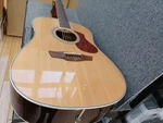 James J-450D/OVA Nat Acoustic Electric GUITAR-01. Fixed Price $368.99.