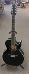Washburn EA912B String Cutaway Acoustic-electric With Case (166399). Fixed Price $600.00.
