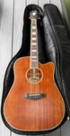 D'angelico "riverside" DAPGC20MNS Acoustic/electric, Heavy Pad Roadrunner Bag. Fixed Price $209.00.