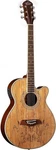 Oscar Schmidt 6 String Acoustic-electric Guitar, Right, Spalted Maple.... Fixed Price $364.45.