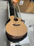 Breedlove Solo J350/CM With Soft Bag 228721. Fixed Price $600.00.