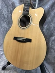 Paul Reed Smith (prs) Se A30E (NO260209). Fixed Price $528.00.
