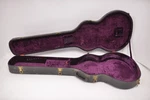 Super Rare 1960S Gibson ES-335 12-STRING Hard Case Purple Interior 1967 1968. Fixed Price $2497.00.