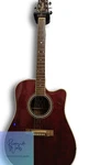 Oasis Noel Gallagher EF325SRC Takamine Electro-acoustic Guitar. Fixed Price $7776.23.