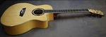 Washburn AG40CEK Acoustic/electric Guitar. Fixed Price $395.00.
