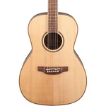 Takamine Series New Yorker Acoustic Guitar Natural. Fixed Price $699.00.