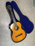 Vintage Takamine 126 Classical Acoustic Guitar W/ Case. Fixed Price $290.00.