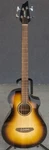 Breedlove Discovery Concert Edgeburst Acoustic Electric 4-STRING Bass Guitar. Fixed Price $272.00.