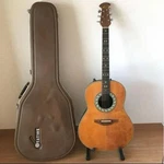 Ovation 1612 With Hard Case. Fixed Price $1093.91.
