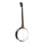 Pyle 5 String Banjo Chrome Plated Hardware Made W/mahogany Rosewood & Maplewood. Fixed Price $160.99.