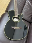Electric Acoustic Guitar Washburn SBF80 Nuno Black With Soft Case. Fixed Price $3180.00.