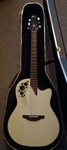 Electro-acoustic Guitar ADAMAS-W597. Fixed Price $4200.00.