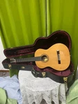 Excellent Handling! Gentle On Your Fingers! Guild GC2NT Elegat Cedar Single. Fixed Price $939.94.