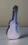 Nice Taylor Deluxe Dreadnought Acoustic Hardshell Case Legacy 810E 110E 710 410!. Fixed Price $79.00.