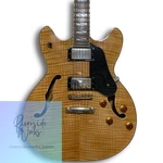 Washburn HB-35 Nk Semi-hollow Electric Guitar Flame Maple. Fixed Price $660.55.
