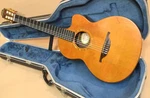 Lowden S-25J 1997 Used 1990 Classical Guitar. Fixed Price $3452.18.