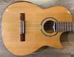 Ortega Signature Series Flametal-two Classical Acoustic-electric Guitar W/ohsc. Fixed Price $879.99.