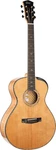 Cort Goldpassion Series Acoustic-electric Guitar. Natural G.... Fixed Price $1999.99.
