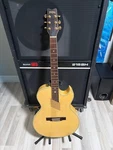 Washburn Birdseye Maple AE-36 Acoustic Early 1990S With Hard Case. Mint. Fixed Price $2200.00.