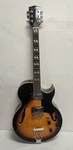 Glen Burton Hollowbody Semi-hollow Electric Guitar Sunburst 6-STRING. Fixed Price $389.00.