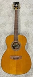 D'angelico Daeomxtvnatgp Tammany Orchestra Acoustic Electric Guitar W/case. Fixed Price $749.95.