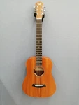 Taylor BT2E Acoustic Electric Guitar. Fixed Price $755.99.