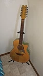 Stagg Cutaway Dreadnought 12 String Acoustic Electric Guitar Sunburst Fishman Pu. Fixed Price $650.00.