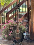 Dean Performer Plus Acoustic Electric Bass With Hardshell Case. Fixed Price $259.00.