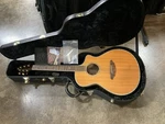 Breedlove AC250/SF Plus Acoustic-electric Guitar Crafted In Korea 2008. Fixed Price $1500.00.