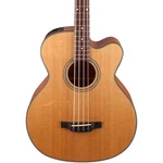 Takamine GB30CE Acoustic-electric Bass Guitar Natural. Fixed Price $799.00.
